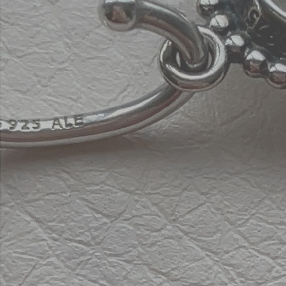 Pandora's "Autumn Skies" earrings - RETIRED - Picture 9 of 9